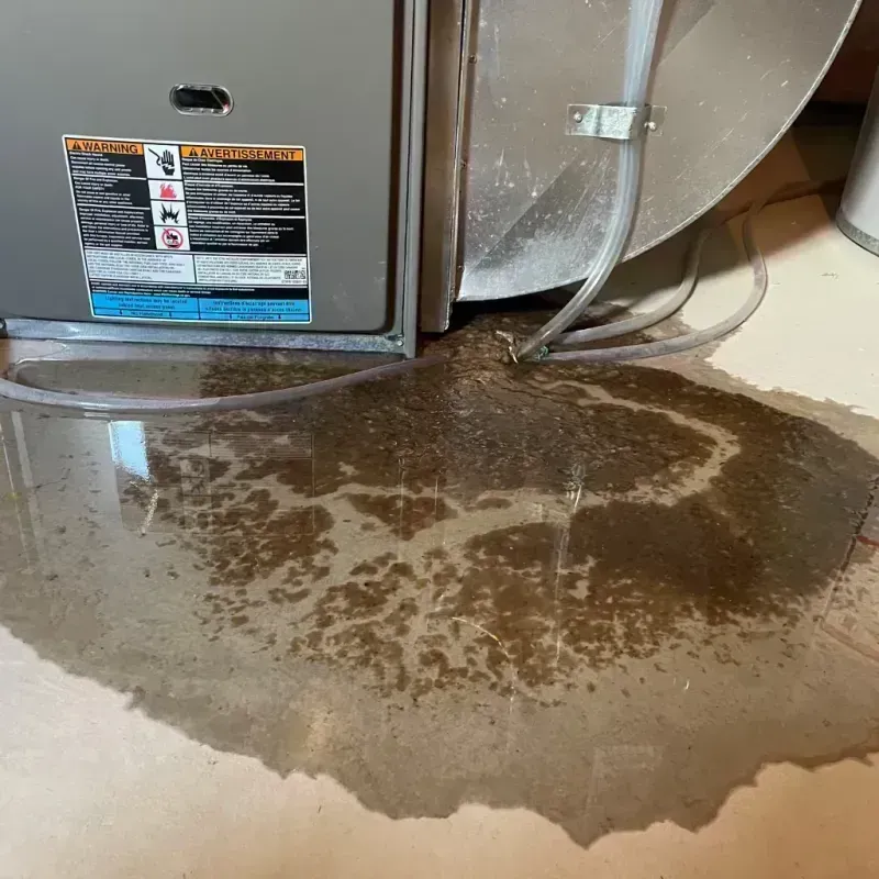 Appliance Leak Cleanup in Ottawa, IL